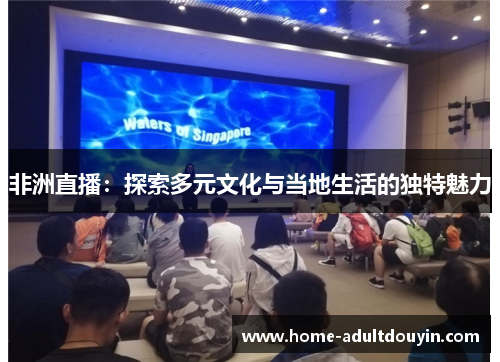 非洲直播：探索多元文化与当地生活的独特魅力